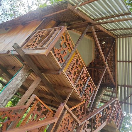 Hotel Karupa Amazonas Leticia Dış mekan fotoğraf