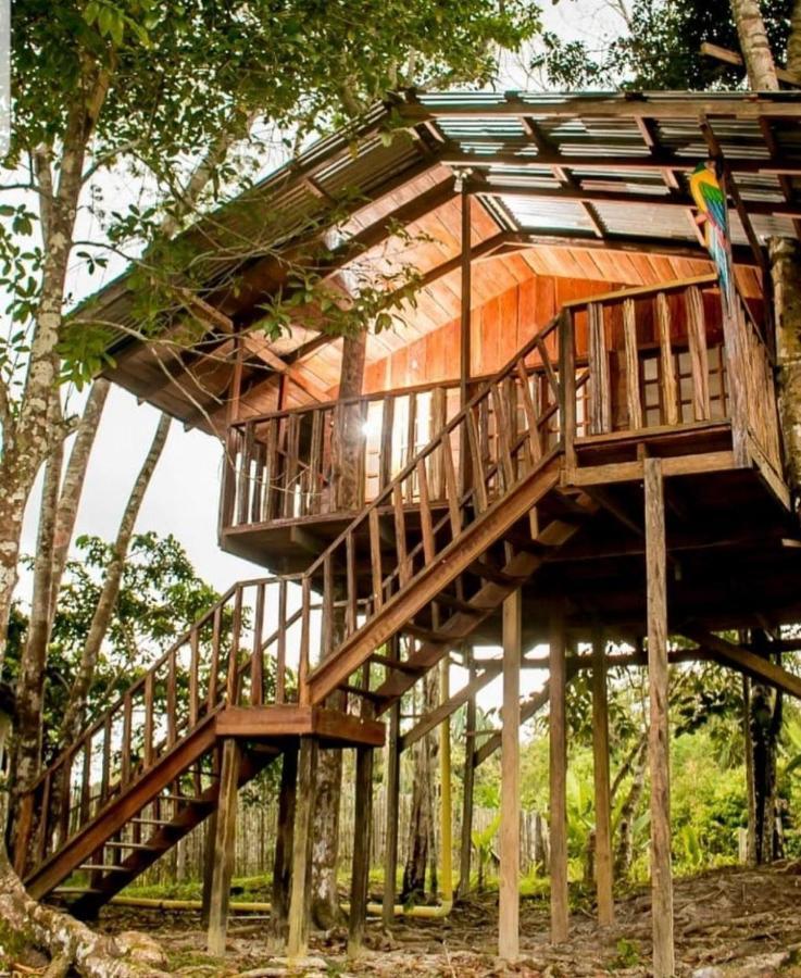 Hotel Karupa Amazonas Leticia Dış mekan fotoğraf