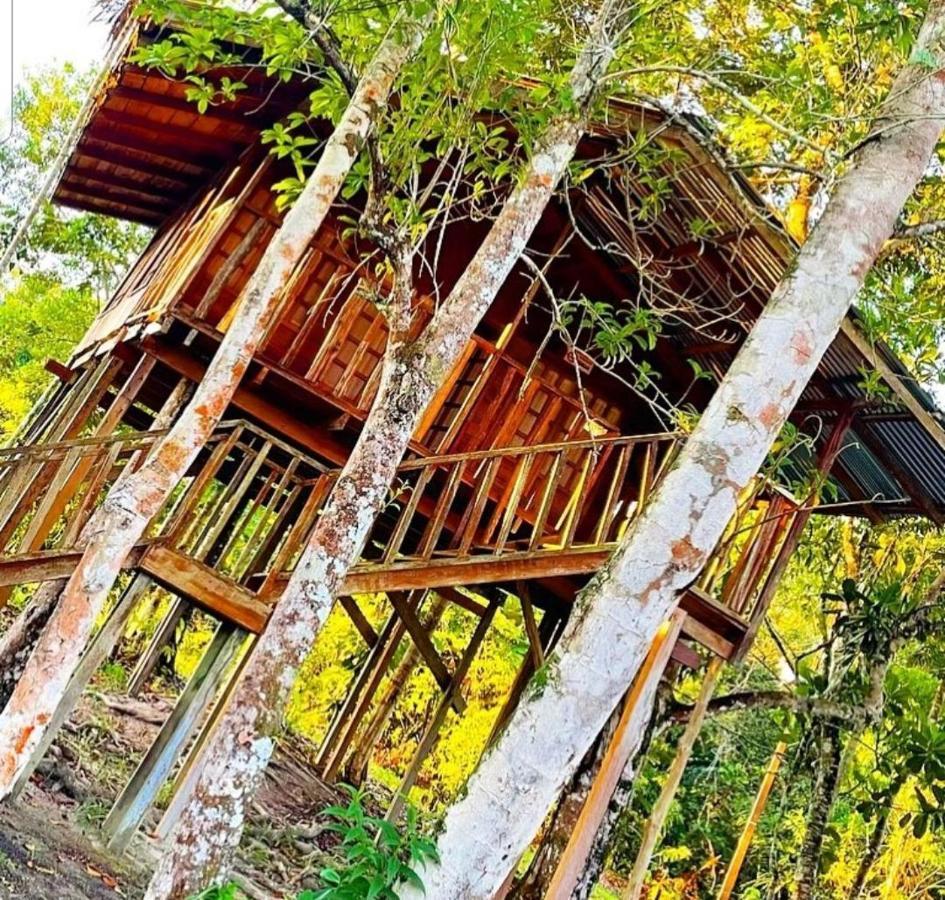 Hotel Karupa Amazonas Leticia Dış mekan fotoğraf