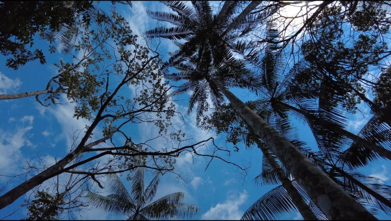 Hotel Karupa Amazonas Leticia Dış mekan fotoğraf