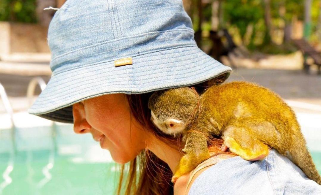 Hotel Karupa Amazonas Leticia Dış mekan fotoğraf