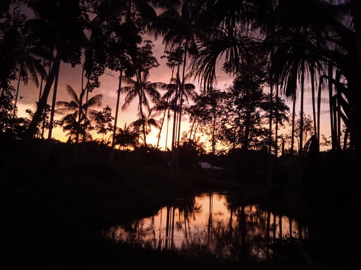 Hotel Karupa Amazonas Leticia Dış mekan fotoğraf